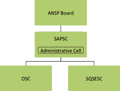 Strategy and Planning Standing Committee (SAPSC)